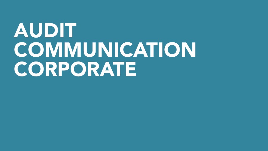 audit-de-communication-corporate-big