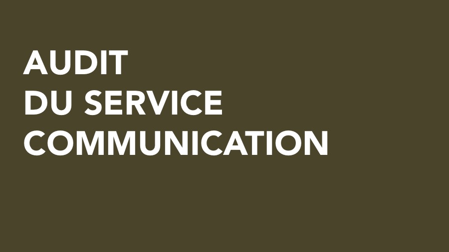 audit-service-communication-big